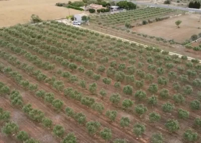 FLY DRONES - Trabajos con drones en Mallorca